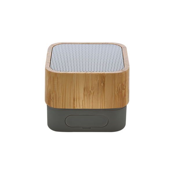 Bluetooth Hoparlör