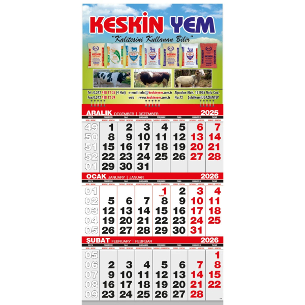 Ekonomik Küçük Boy Gemici Takvim (31 x 63 cm)